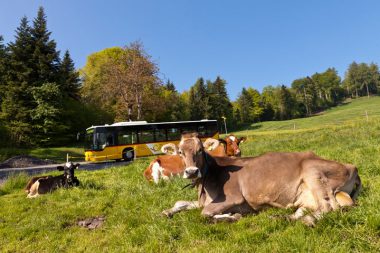 60.071 Luzern-Eigenthal_048_web