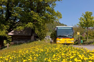 60.071 Luzern-Eigenthal_083_web