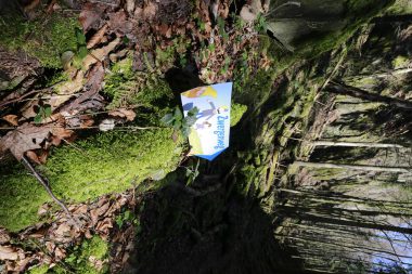 Zwergenweg auf dem Sonnenberg