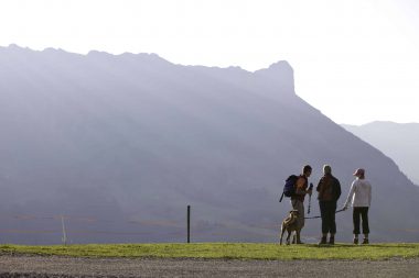 MARBACH EGG SOMMER 2012