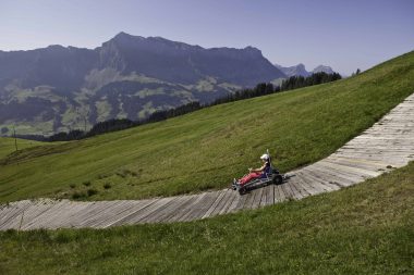 MARBACH EGG SOMMER 2012