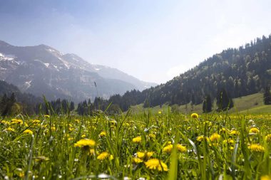 Eigenthal Schwarzenberg