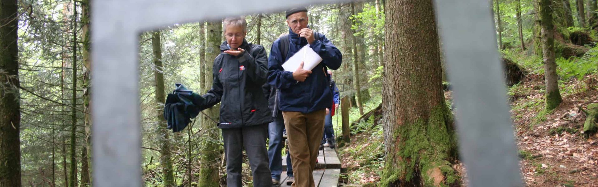 postauto-Seelensteg-Heiligkreuz-2-1920x600