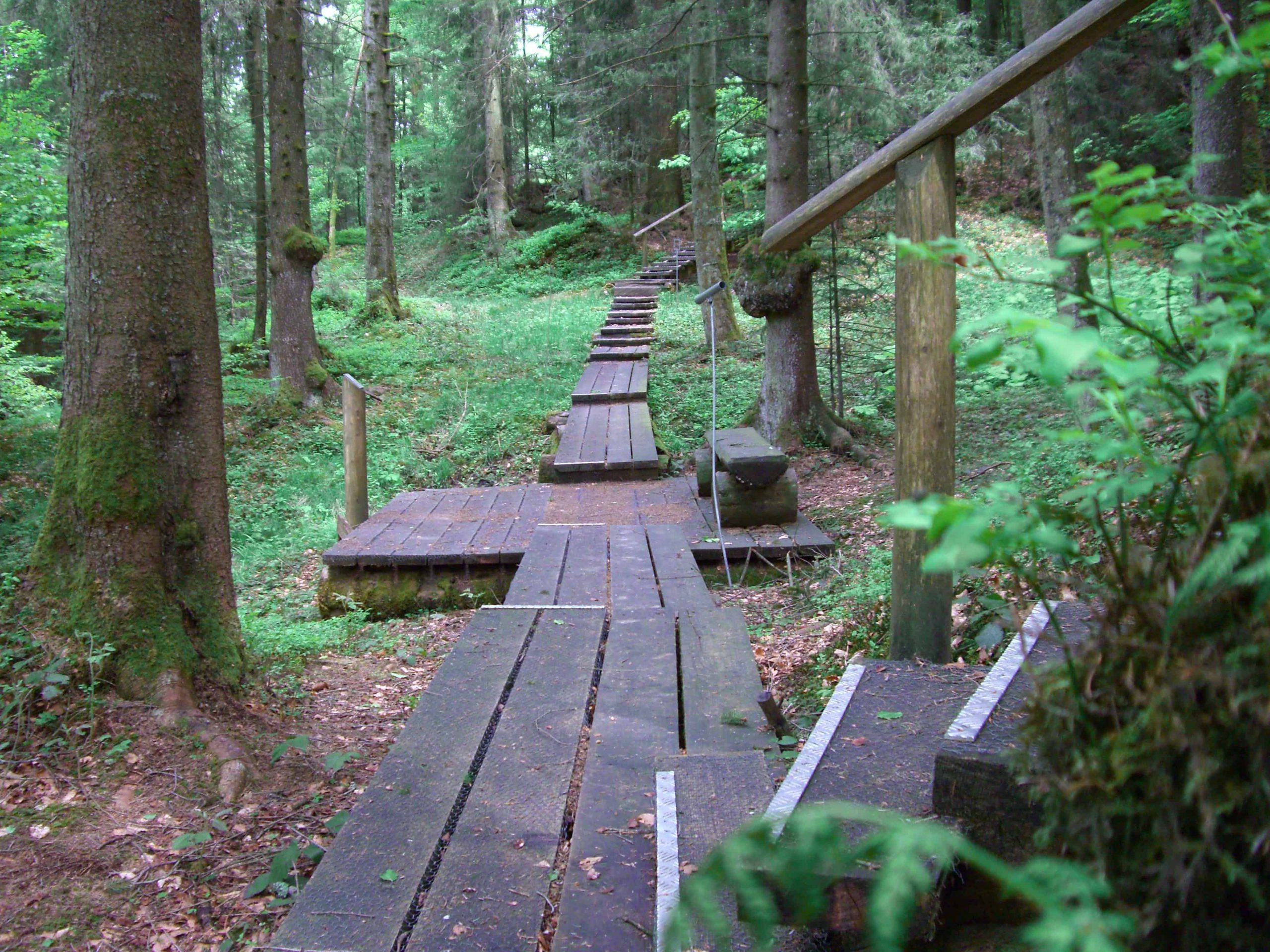 postauto-Seelensteg-Heiligkreuz-scaled