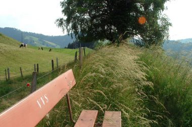 Rundweg grosse Welt Schwarzenberg