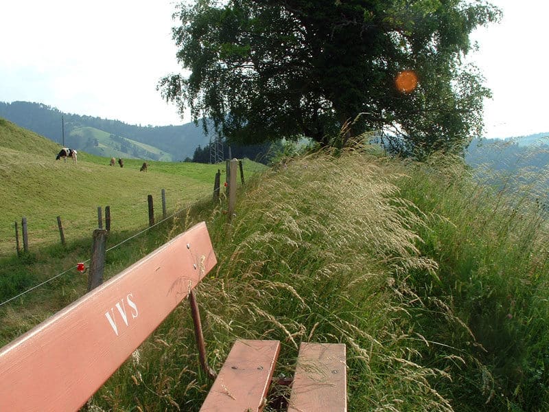 rundweg-grosse-welt-02-800x600