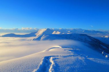 Schneeschuhtrail Jänzi
