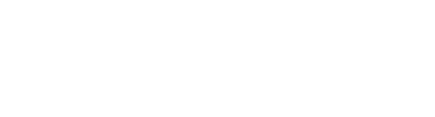 Zugerland_Verkehrsbetriebe_weiss